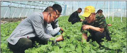 Jilin promotes Party theory and alleviates poverty