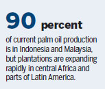 Palm oil 'decimating' wildlife, solutions elusive, report says
