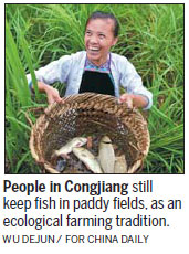 Congjiang county touts vast ethnic diversity