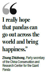 Search begins for iconic panda image to represent Chinese culture around world