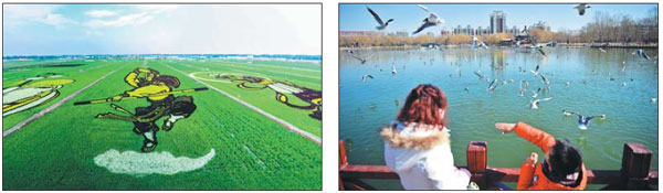 Urban zone treads green path to protecting its natural environment
