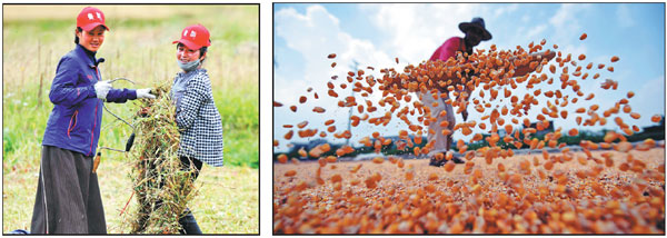 A season of harvest