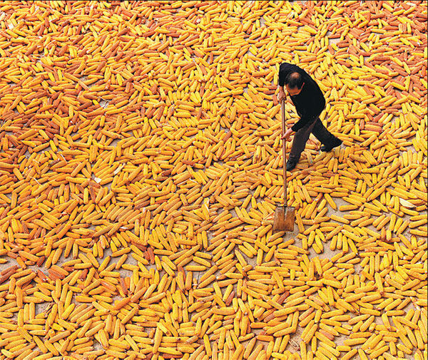 A season of harvest