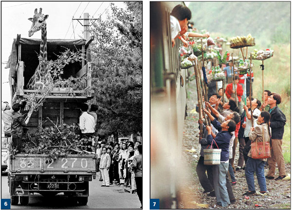 40 YEARS THROUGH A LENS