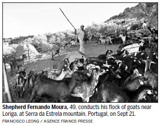Goat brigades help battle deadly wildfires