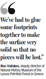 Dinosaur footprints in Beijing receive protective coating