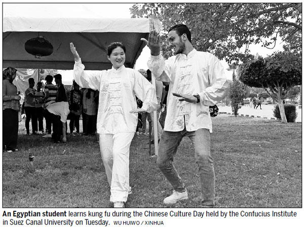 Cultural event leads Egyptians into Chinese life