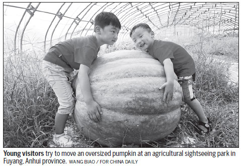 China reaping harvest of agricultural research