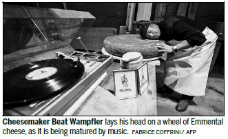 Will music make Swiss cheese tastier?