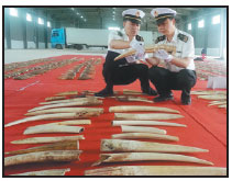 Illegal trade in wildlife, pesticides among key topics