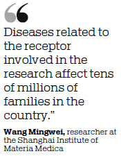 Scientists get new molecular insights on bone loss