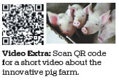 Pig Palace: Where little goes to waste