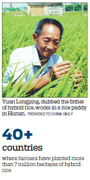 Home of hybrid rice proceeds in modern farming growth