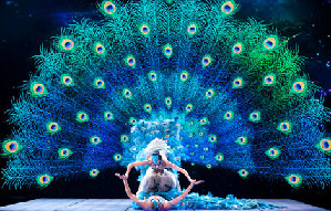 Yang Liping performs in her final dance drama 'The Peacock'