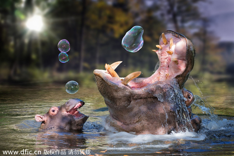 Fantasy photography captures imaginary moments
