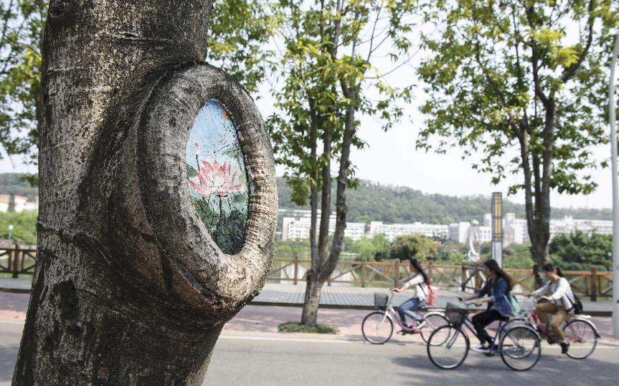 Tree hollow paintings brighten university campus