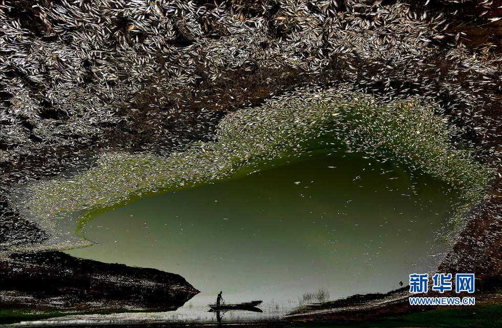 10th China International Press Photo winners