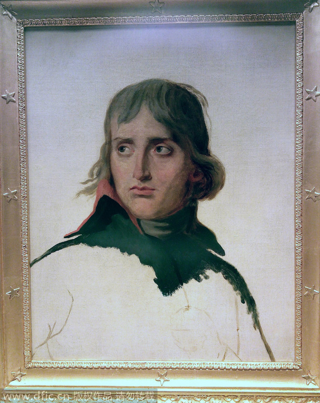 A glimpse into Napoleon displayed in China