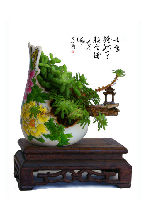 Amazing porcelain bonsai in NW China