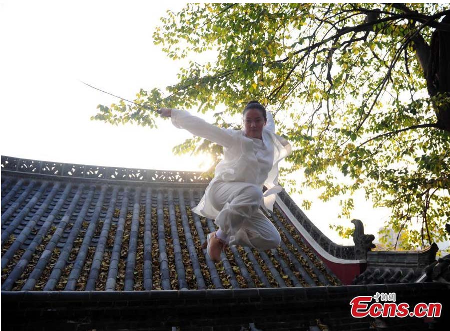 'Sister Wudang' blends martial arts and music