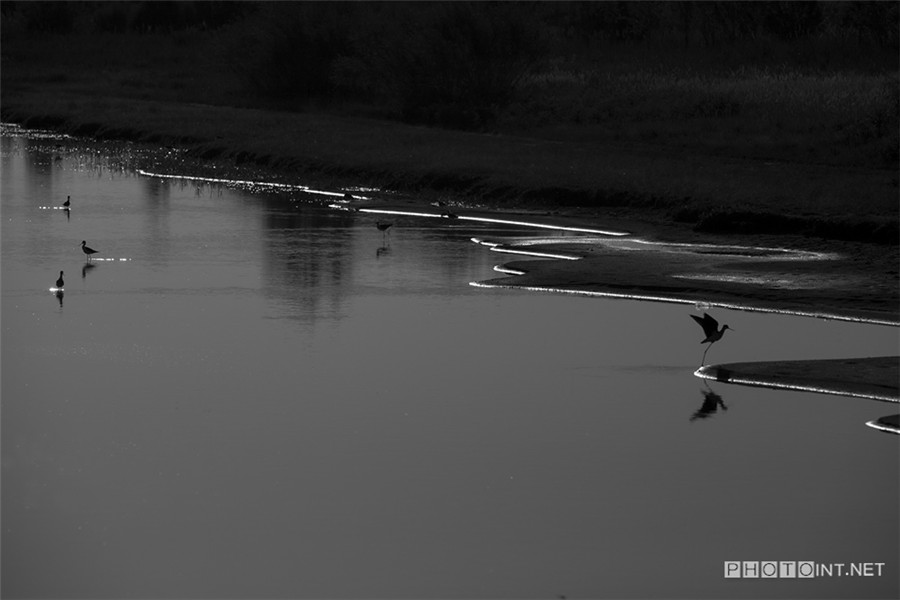 Amazing landscape of China in white and black