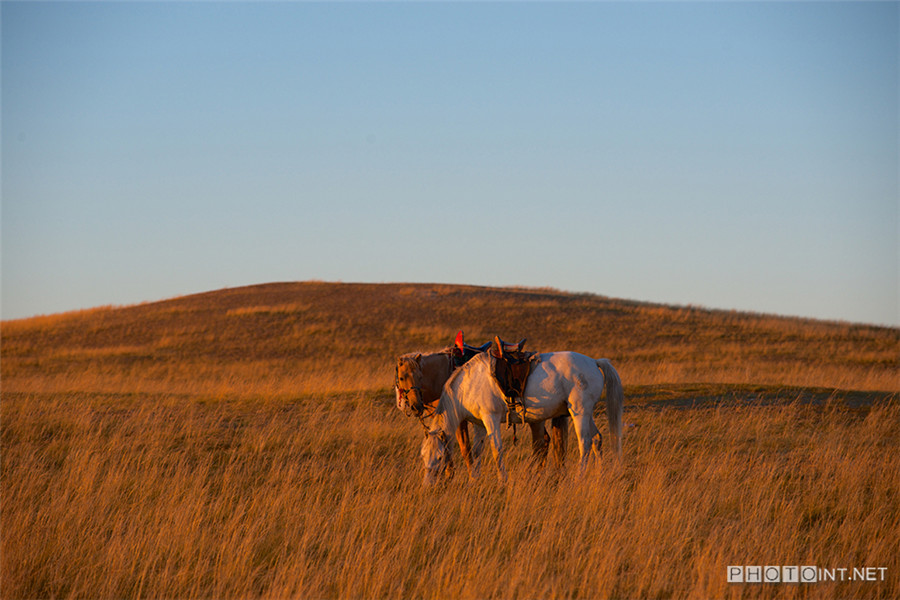 Photographer captures beautiful prairie landscapes