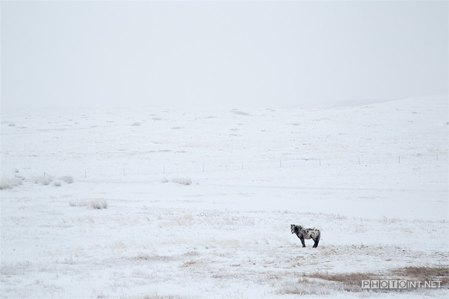 Photographer captures beautiful prairie landscapes
