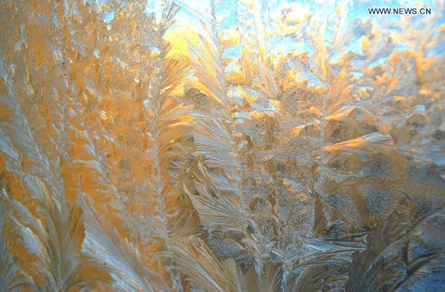 Frost formed patterns on window in NW China