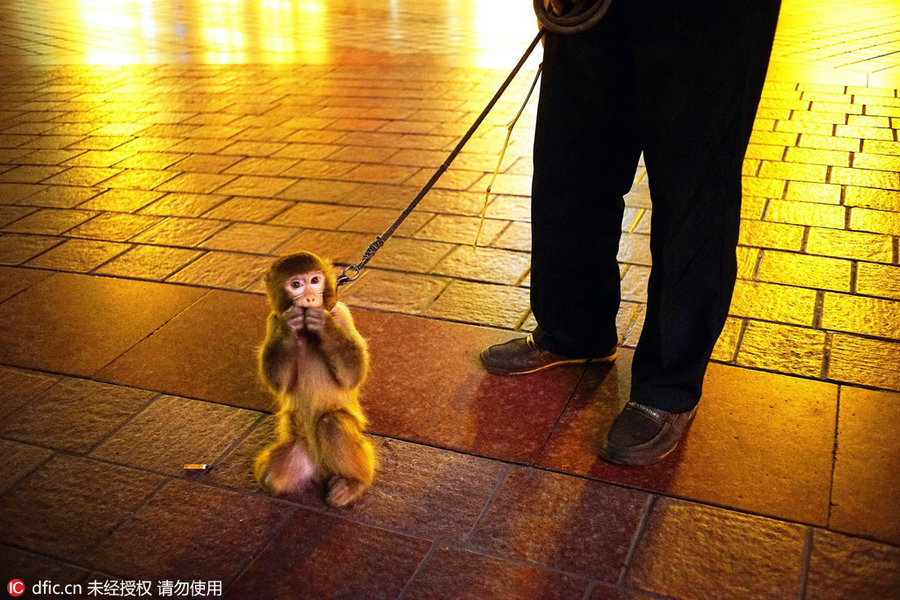 Street performers after darkness falls