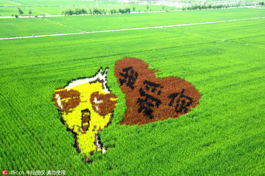 3D Tanbo art pictures shine in Liaoning