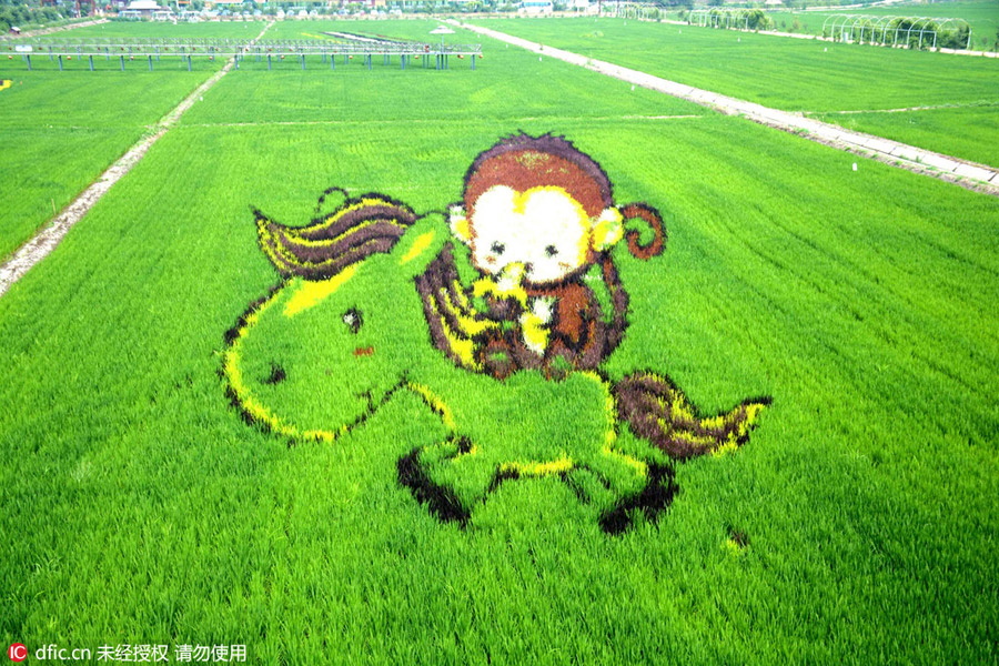 3D Tanbo art pictures shine in Liaoning