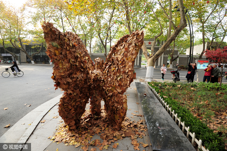 Foliage artworks, last glimpse of autumn in Hangzhou