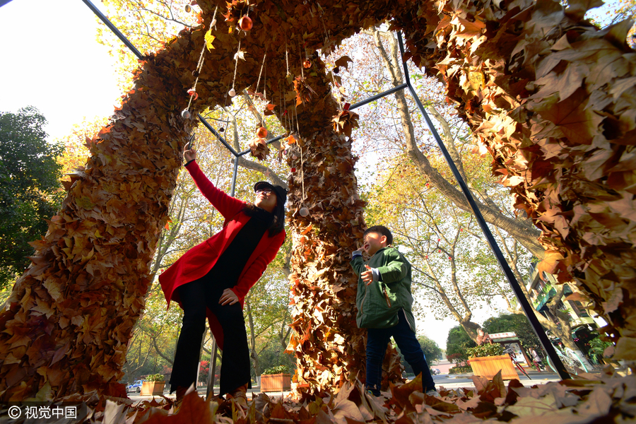 Foliage artworks, last glimpse of autumn in Hangzhou