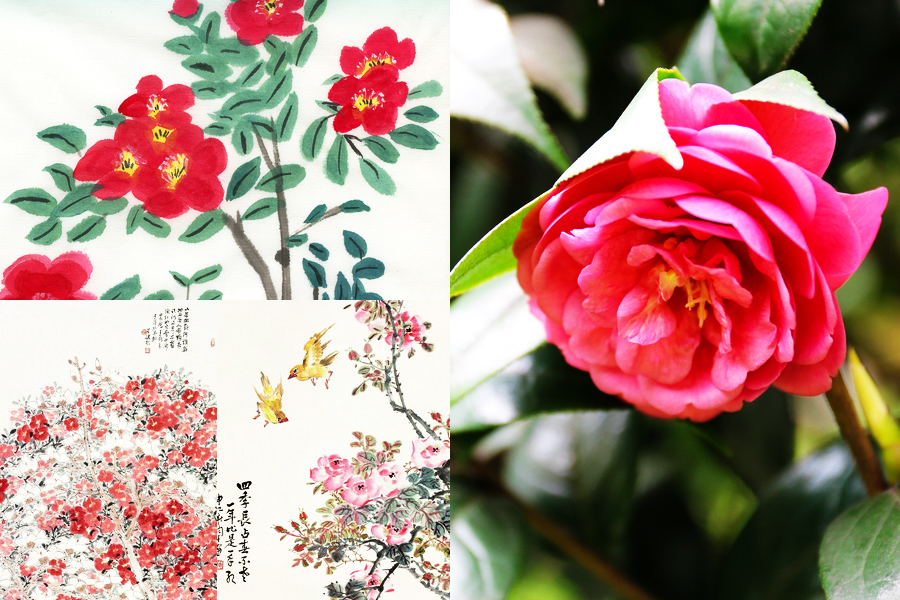 Poetic beauty: 10 most significant flowers in China