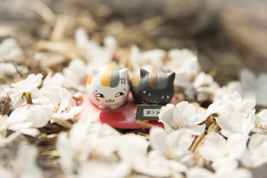 When anime figurines meet cherry blossoms