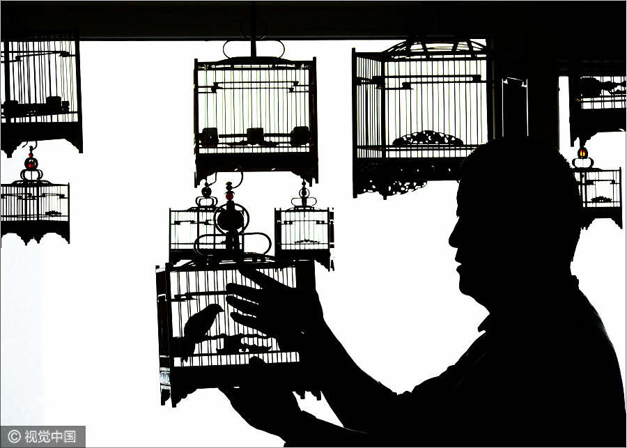 Folk artist dedicated to making bird cages