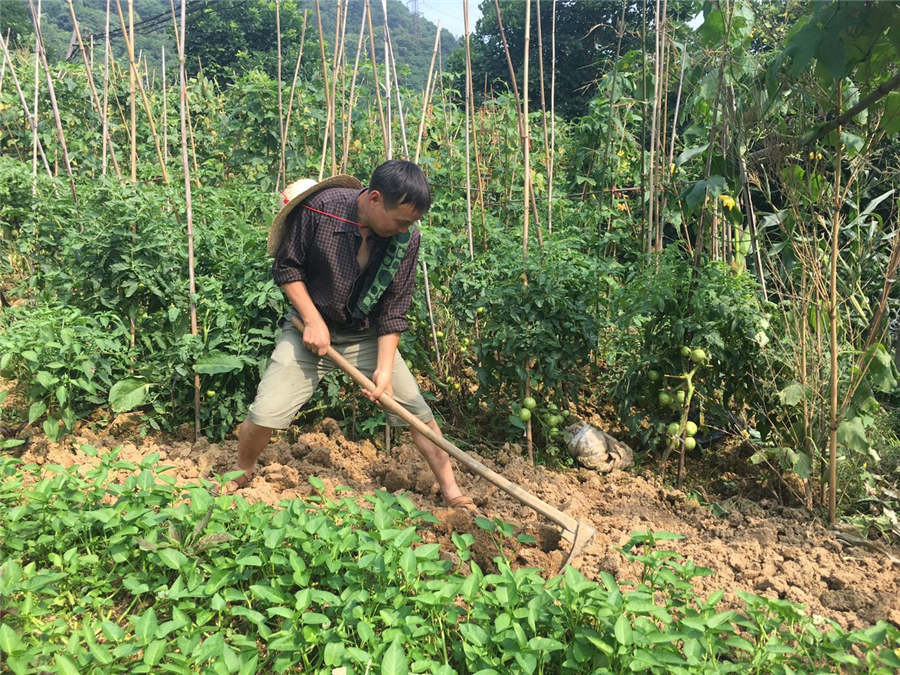 Chongqing farmer becomes oil painting master