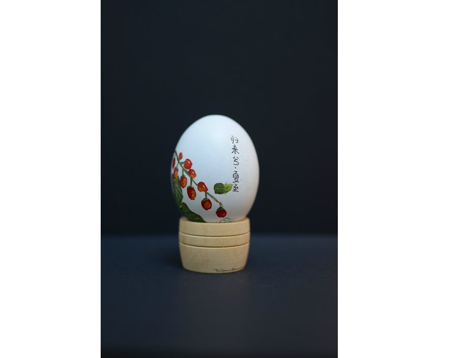 Young artist swaps conventional canvas for eggshells
