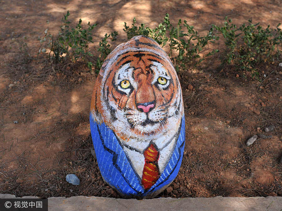 Vivid 3D paintings turn Zhejiang village into vibrant 'zoo'