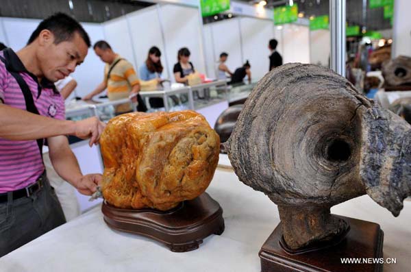 Pan-Asian Stone Expo held in Kunming, China's Yunnan