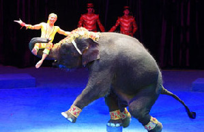 Dancers rehearse 'Swan Lake' at Singapore's Esplanade