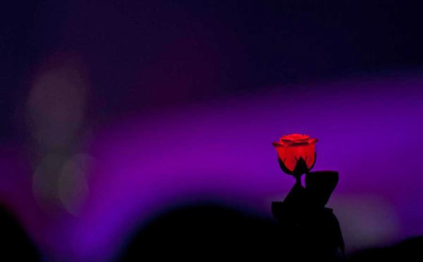 Concert commemorating pop star Anita Mui held in Hong Kong