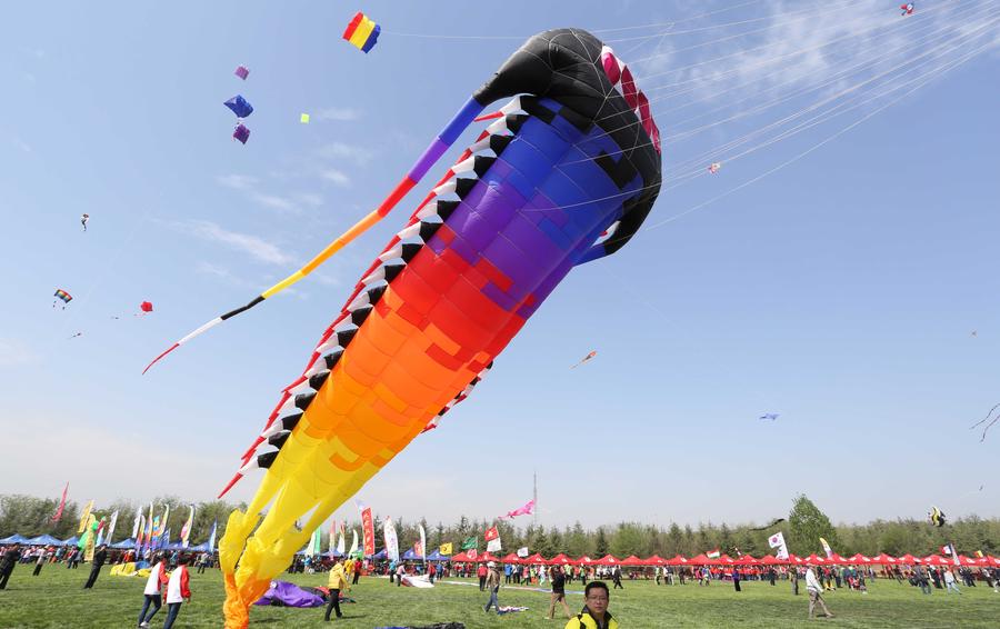 Weifang hosts annual kite festival