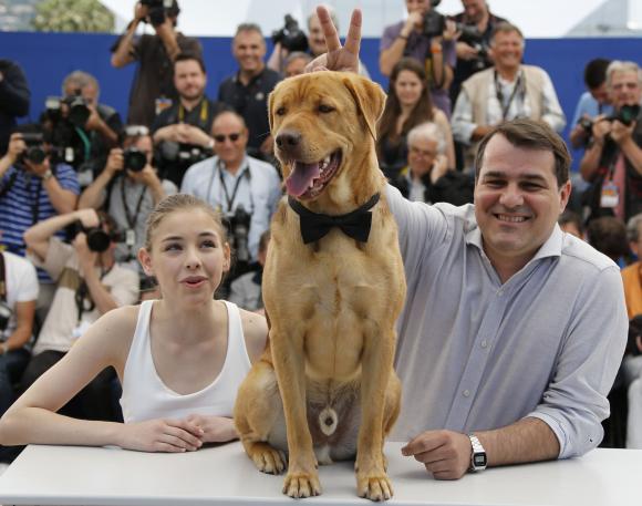 Huge pack of stray dogs in Hungarian film wows Cannes