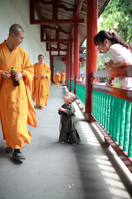 Xichan Temple's little monk hits the Internet