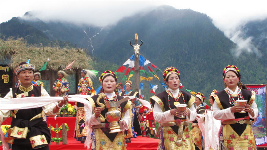 8th Yellow Peony festival held in Tibet