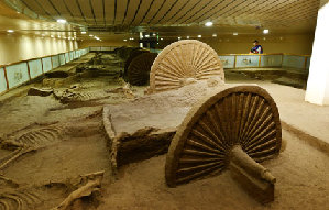 Shang relics on display