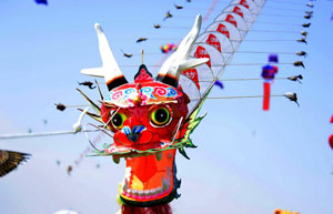 Kite festival kicks off in North China's grassland