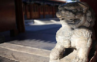3D horror film draws ghost seekers in Beijing