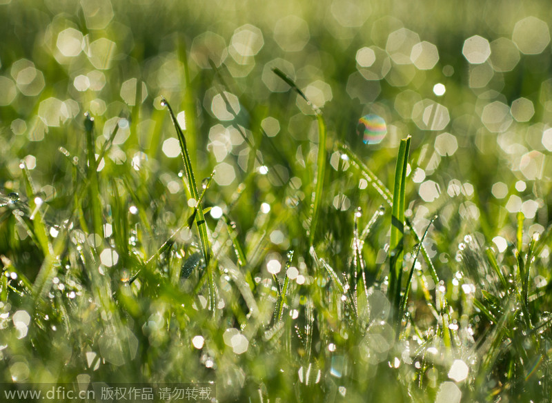 24 Solar Terms: 10 things you may not know about White Dew